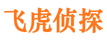 怀宁市调查公司